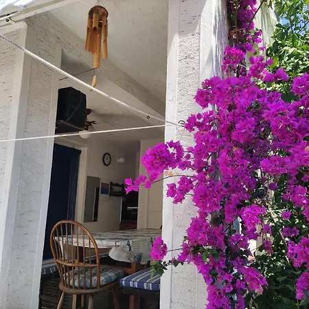 Apartment Anisa Mali Losinj
