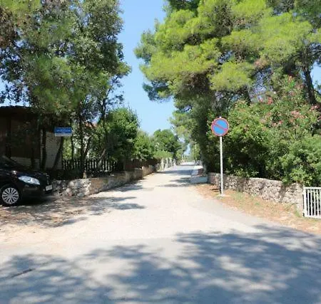 Anisa מאלי לוסיניי
